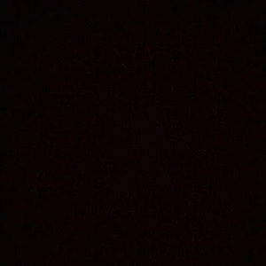 Meet your Posher, Dora